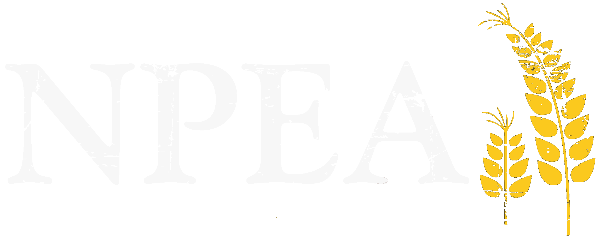 NPEA Church Planting